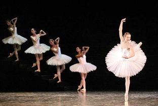 芭蕾舞的起源与流派是什么意思