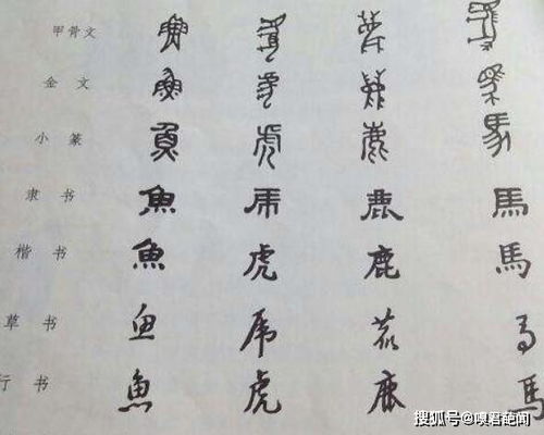 汉字的起源与演变过程50字左右