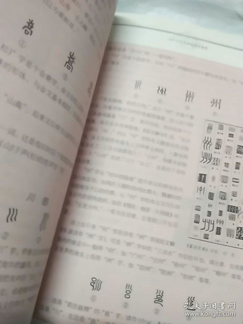 细说汉字:1000个汉字的起源与演变读后感怎么写