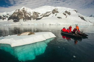南极探险的历史